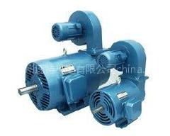 現(xiàn)貨供應(yīng)力矩電機(jī) 沈陽(yáng)力矩電機(jī)廠