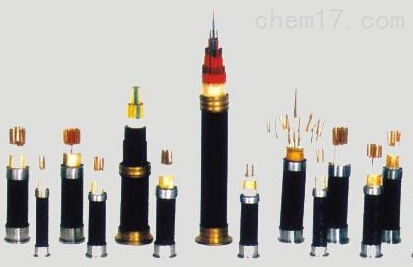 HYV|HYVP22zbͨ|