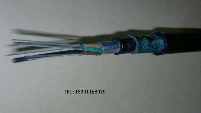 P(gun)GYTA53|N