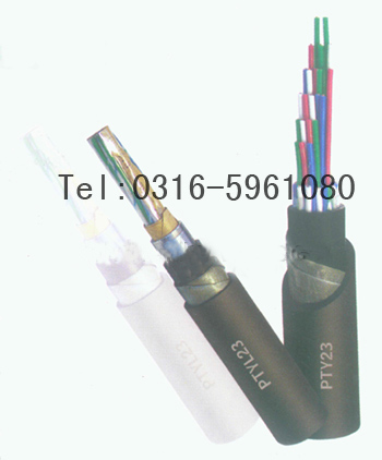 PTYA23 28*1.0F·̖(ho)|