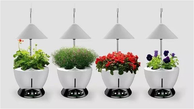 新款LED全自動(dòng)植物生長機(jī) LED室內(nèi)綠色盆栽植物凈化器 6孔種植