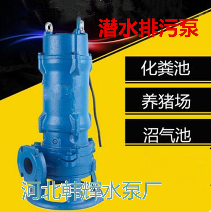 石柳鄉(xiāng) 200WQ300-7-11潛污泵進出口管徑
