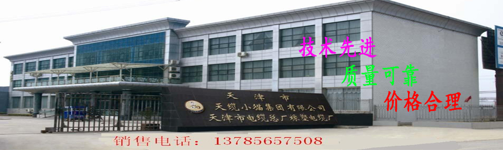 JHS防水電纜JHS銅芯海水軟電纜報價