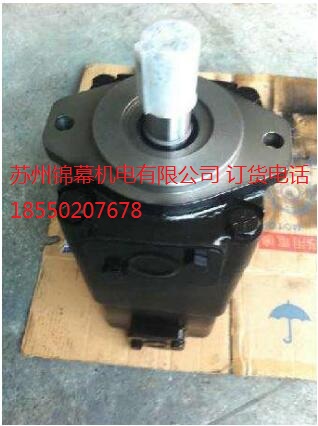 PV20-2L1D-K02 錦幕總經(jīng)銷，DENISON丹尼遜柱塞泵