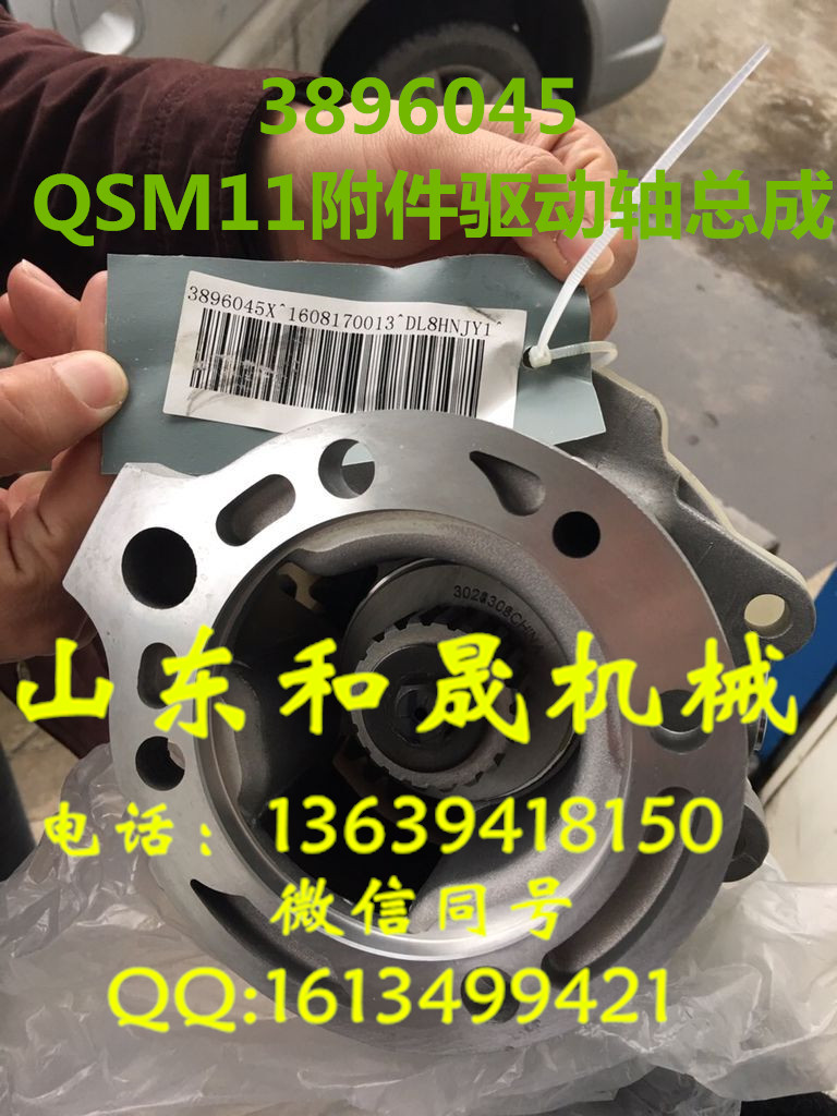 3896045 ˹QSM11l(f)(dng)C(j)ՉC(j)B(q)(dng)S