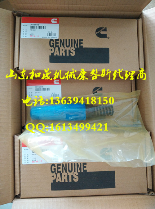 3016676 ˹K50l(f)늙C(j)MÇ ֱN