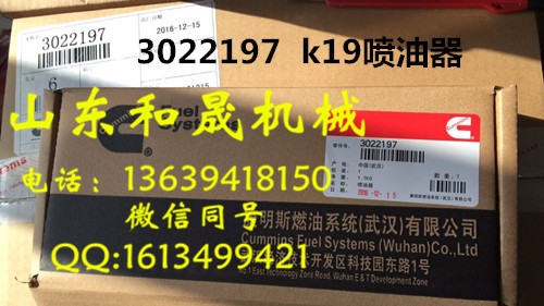3022197 ˹K19l(f)늙C(j)M  ֱN