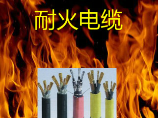 帶接頭電纜MHYBV10米接頭和電纜一共多少錢(qián)