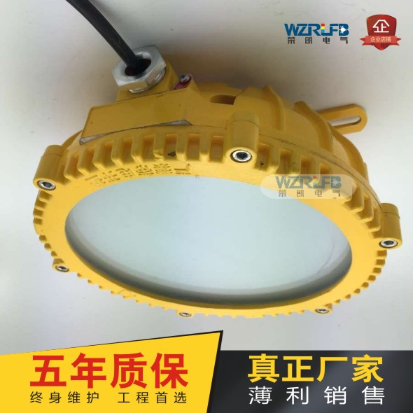 榮朗RLB95防爆吸頂燈  廠家直銷(xiāo)量大從優(yōu)  30W防爆燈