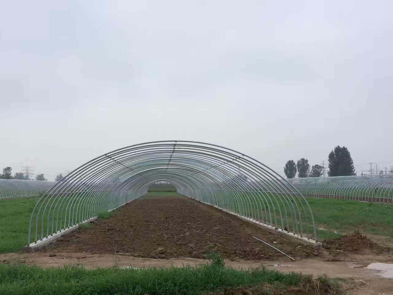 江門溫室大棚管大棚骨架