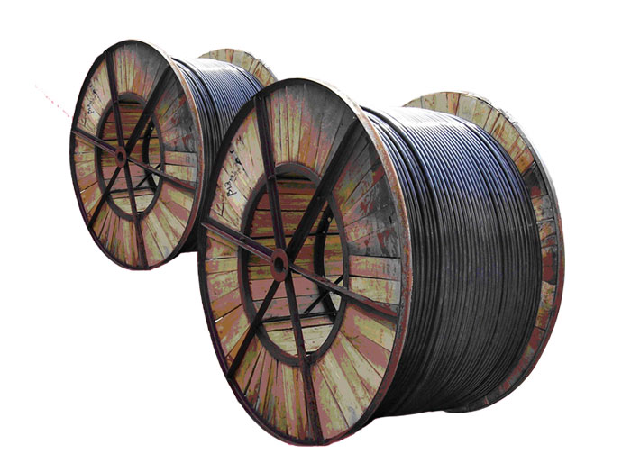 CEFR 5*25|0.6 1KV (gu)(bio)|
