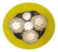 (bio)UGEFP 8.7/10KV ܘ(gu)C(j)|