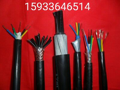計(jì)算機(jī)電纜 DJYPV ，4X2X1.0