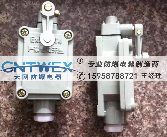 Γuʽг_P(gun)LX5-6D BZX51-6Dλ_P(gun)IIC(j)