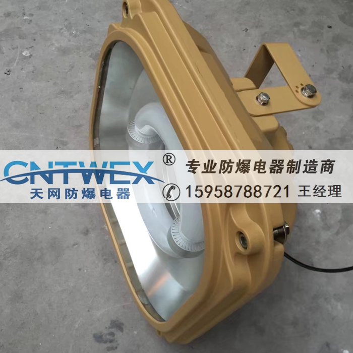 免維護(hù)節(jié)能防爆無(wú)極燈SBD1106-YQL65B