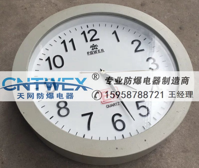 銅陵防爆時鐘廠家 BSJ防爆石英鐘表廠用防爆石英鐘表鑄鋁合金