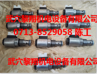 WSM06020Y-01M-C-N-0R¿