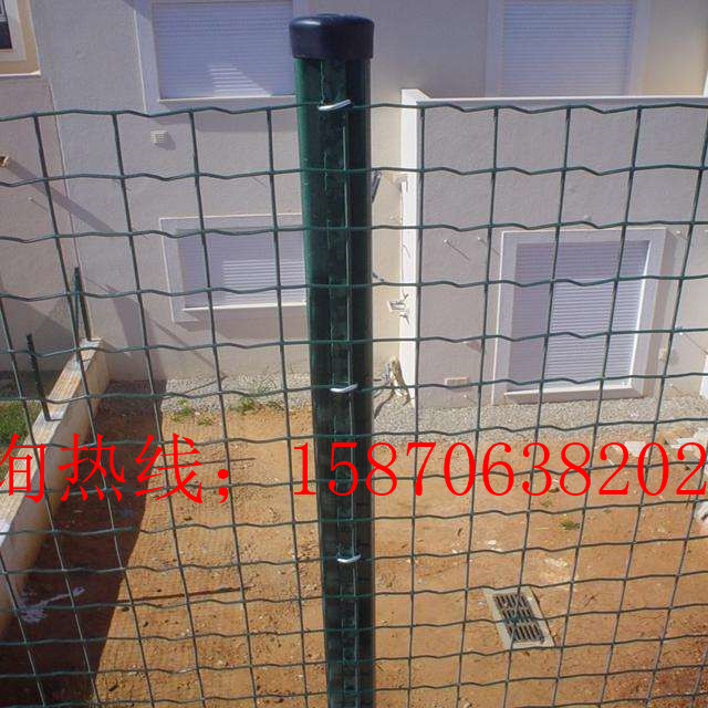 FzW(wng) FzW(wng)/FzW(wng) B(yng)ֳFzW(wng)r