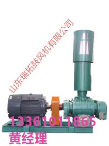 河北承德羅茨風(fēng)機(jī)廠家羅茨風(fēng)機(jī)選型報(bào)價(jià)