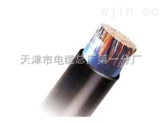 礦用屏蔽控制電纜MKVVP、MKVVRP 河北生產(chǎn)廠家