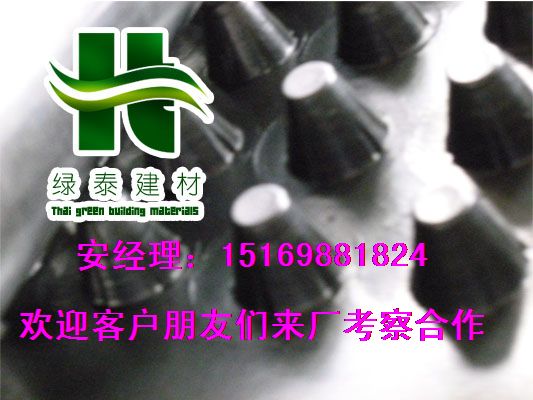周口【2.5公分車(chē)庫(kù)蓄排水板】商丘車(chē)庫(kù)疏水板