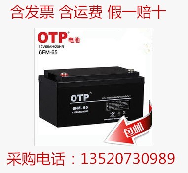 OTP蓄電池6FM-65通信基站專用