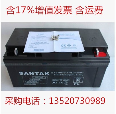 山特蓄電池12V65AH