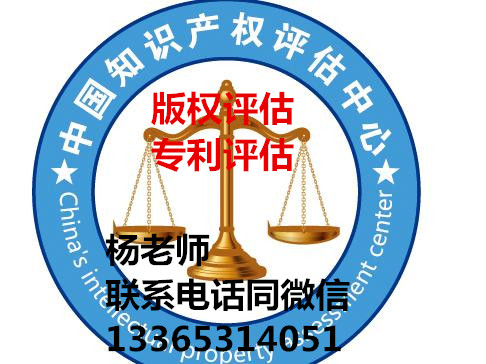 泰安無形資產(chǎn)評估哪家好，山東濟南找凱文