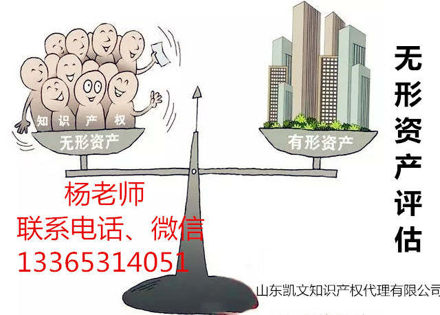 濟南無形資產評估怎么辦，山東濟南找凱文