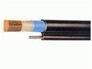 屏蔽電纜RVSP-300/500V批發(fā)價(jià)錢(qián)