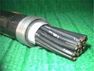 |RVSP-300/500Va(chn)S
