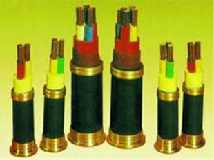 |RVSP-300/500V(bio)