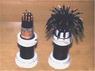|RVSP-300/500VA|u