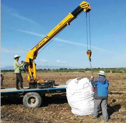 小吊機(jī)小吊車吊運(yùn)機(jī)隨車吊小型吊機(jī)小型吊車小型吊運(yùn)機(jī)汽車吊