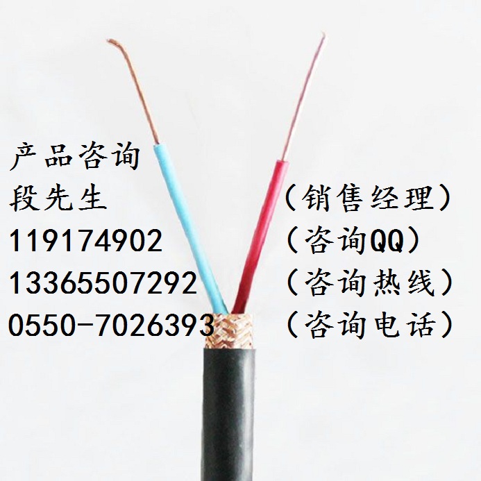 ZR-DJFFRP-1*2*1阻燃計算機(jī)電纜