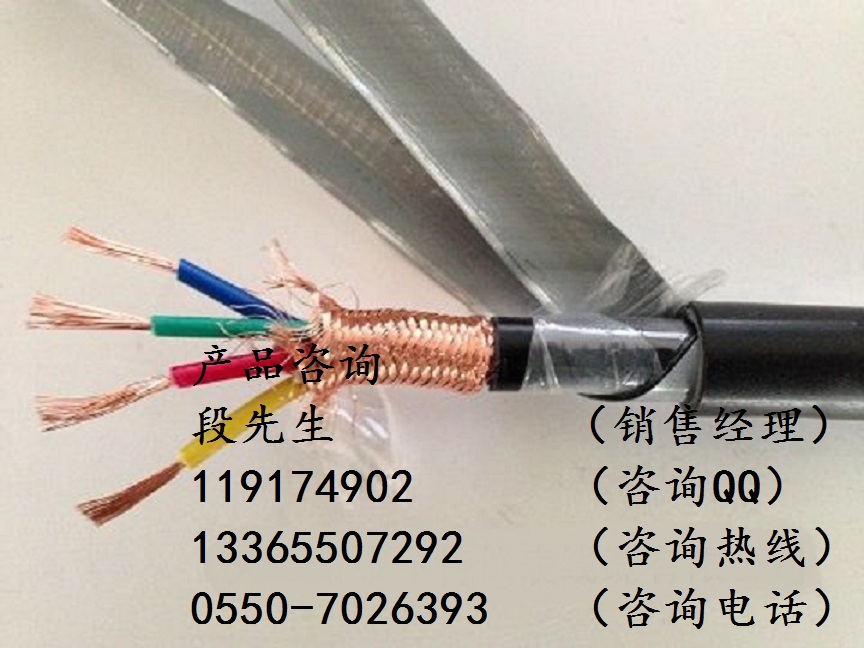ZR-DJVVP22-1*2*1.5防鼠計算機電纜
