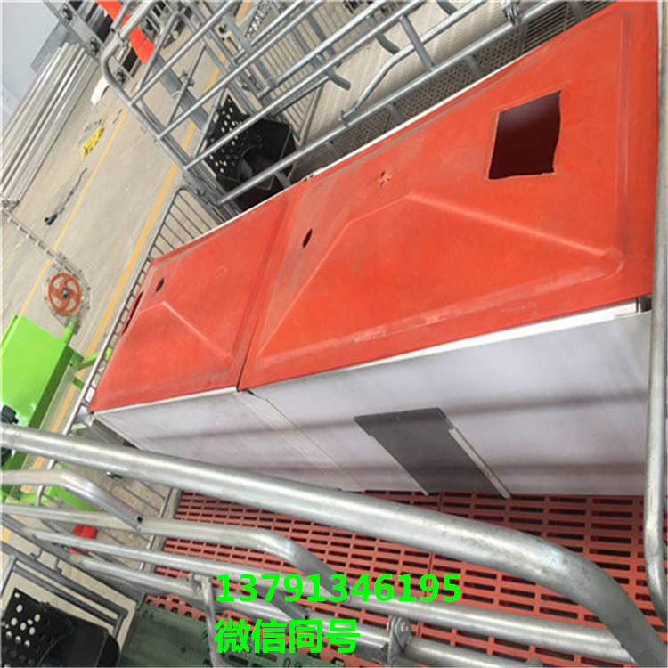 母豬分娩產床全塑料母豬產床 雙體豬用產床