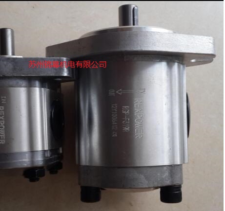 RBB-208臺灣REXPOWER銳力擺線齒輪泵，存在偏心距[圖