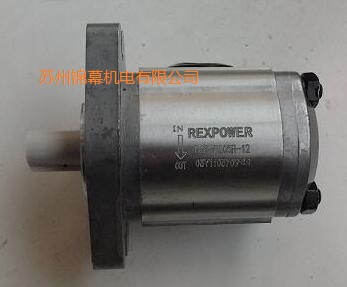 RBB-220臺灣REXPOWER銳力擺線齒輪泵，上縫隙值不斷增大
