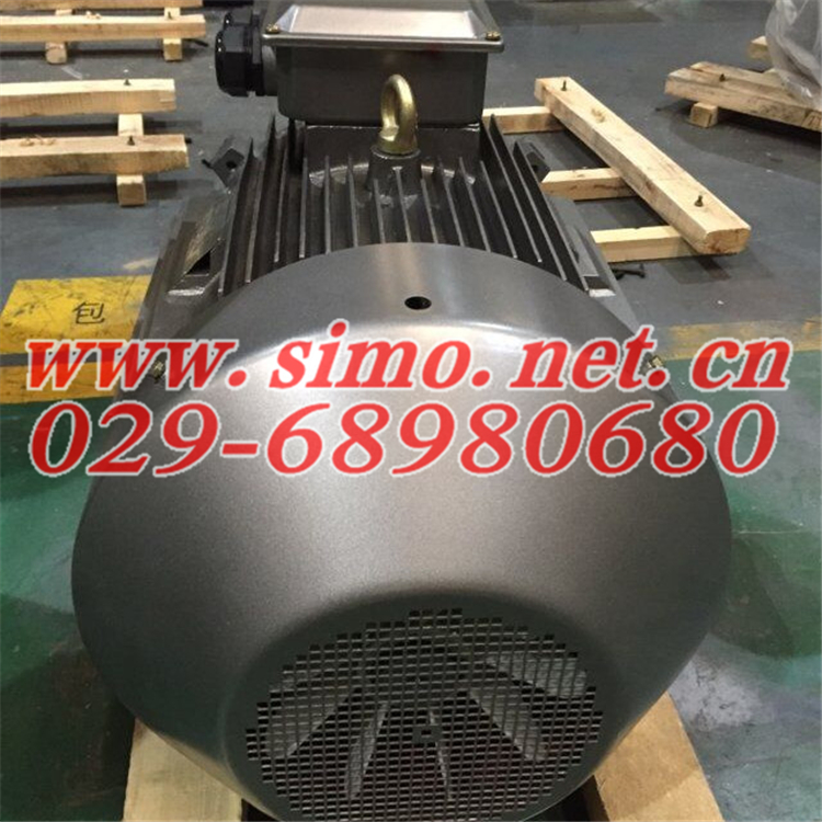 YGM315L2-6/132KW/IP23/50HZ/380V/B級(jí)絕緣替代電機(jī)