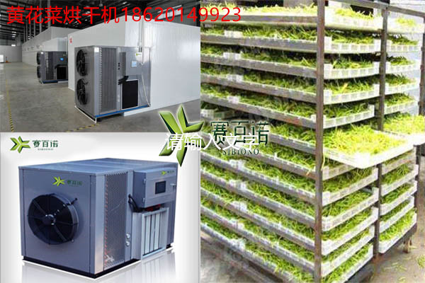 上饒黃花菜烘干機包安裝調試