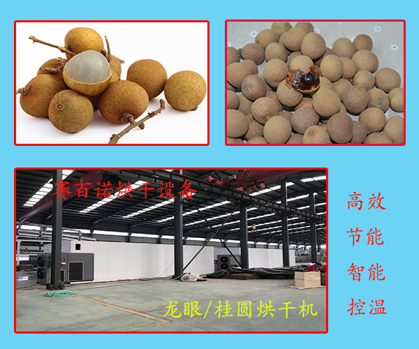 自貢新型龍眼烘干機(jī)生產(chǎn)廠家