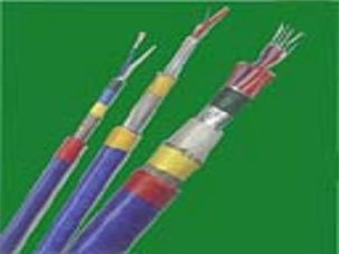 SFF-75-3-1|ָ(bio)