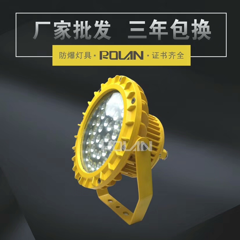 電廠30WLED防爆燈，30W泛光燈