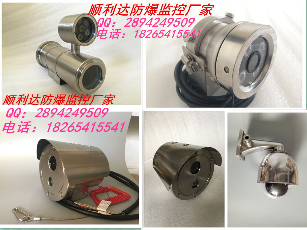順利達(dá)防爆攝像機(jī)，?？荡笕A，機(jī)芯可選配，紅外網(wǎng)絡(luò)防爆球機(jī)