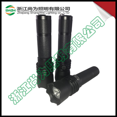 SW2102強光防爆電筒_尚為SW2102戶外露營電筒