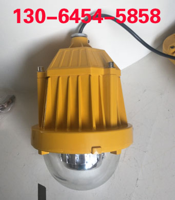 海洋王BPC8765LED防爆平臺(tái)燈 海洋王BPC8765