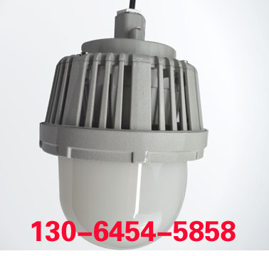 LFB-48-02免維護(hù)防爆平臺(tái)燈 LED燈具LFB-48-02