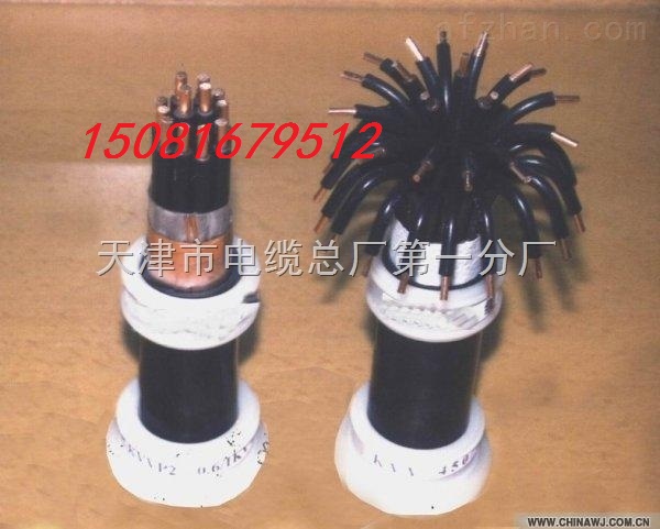 三明NH-YJV耐火通信電纜價(jià)格