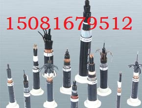 DJYP2V|DJYP3V計(jì)算機(jī)電纜	基本用途青海省